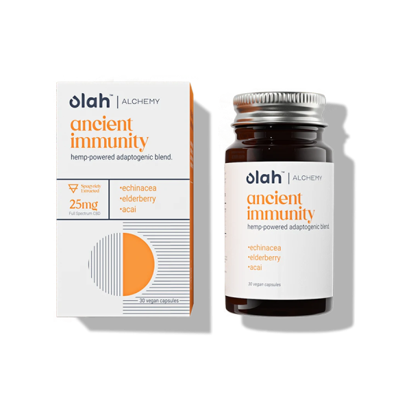 Bottle of Olah alchemy ancient immunity hemp-powered adaptogenic blend made with echinacea, elderberry, and acai powder