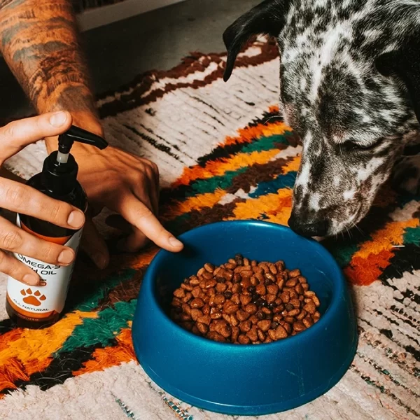 A person directs their spotted dog to a blue bowl of dog food while holding a pump bottle of Vesl brand CBD fish oil over it.