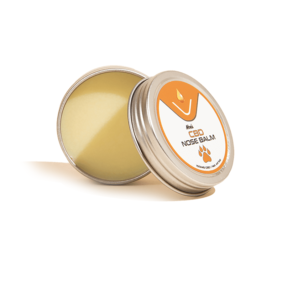 Open tin of Vesl brand Moe's CBD Nose Balm for dogs with orange graphic paw print on label